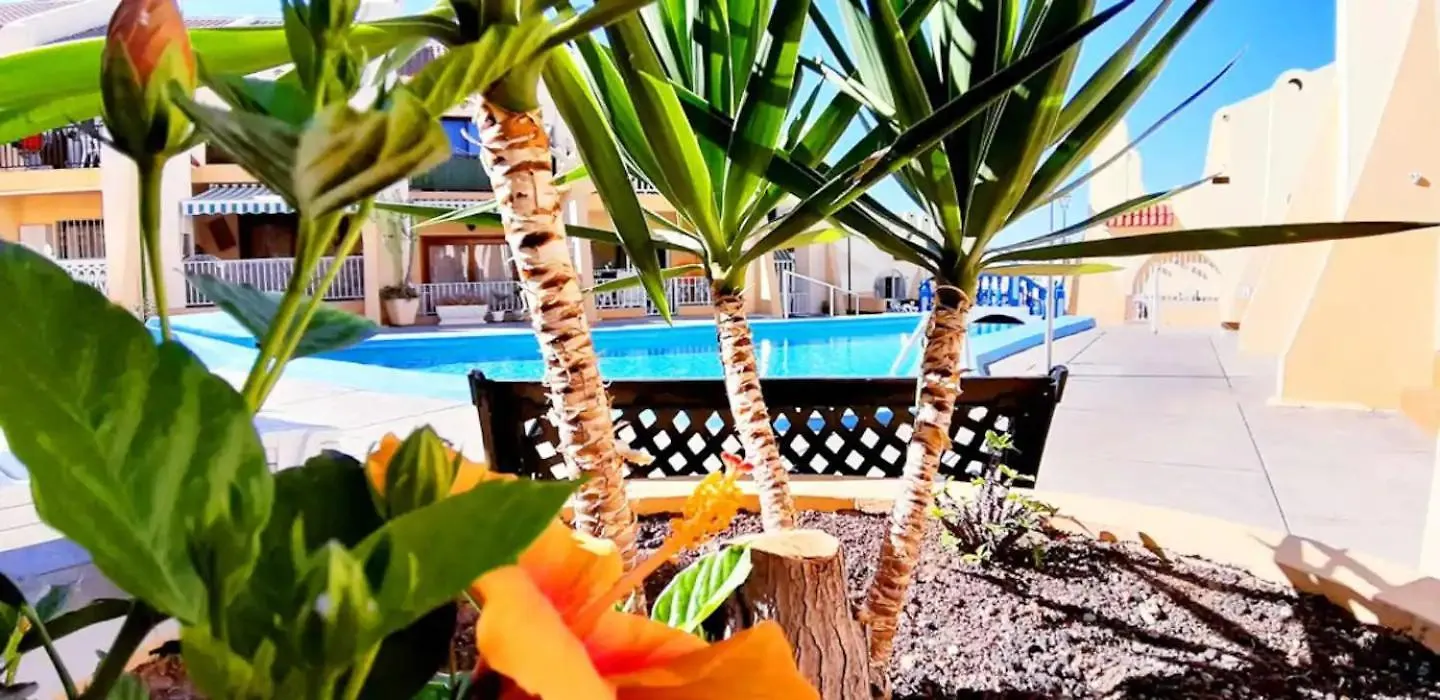 Sunny Pool Patio - 2 Bedrooms 2 Baths location